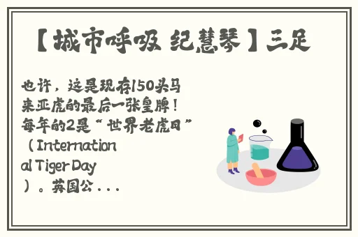 小宝第二场高颜值返场哪里看